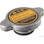 TAPA RADIADOR KIA (KK731-15-205A)
